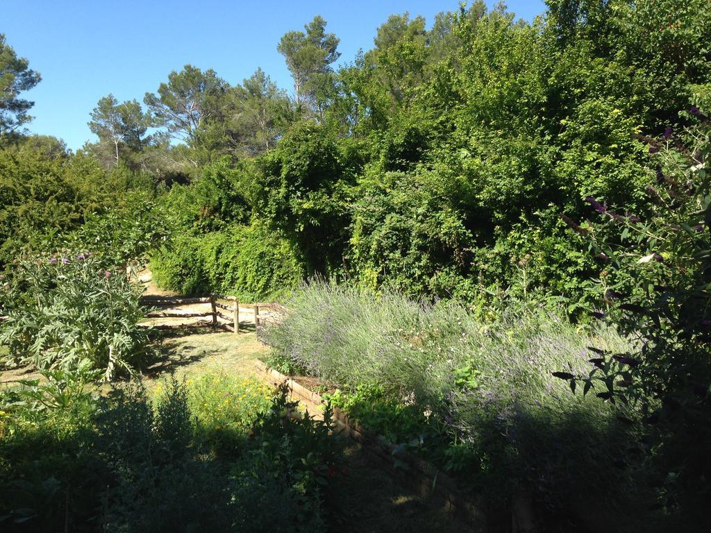 Cabane De La Leque Fontvieille Exterior photo