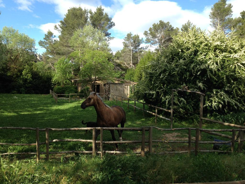 Cabane De La Leque Fontvieille Exterior photo
